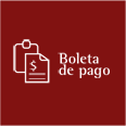 Boleta de pago